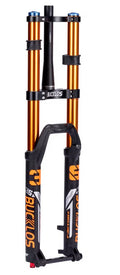 DH Bucklos Fox 36 Forks (AIR)
